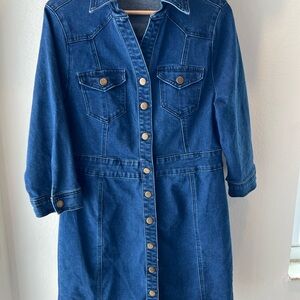 Denim Button-Up Dress